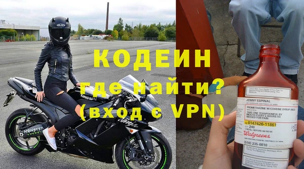 стаф Нея