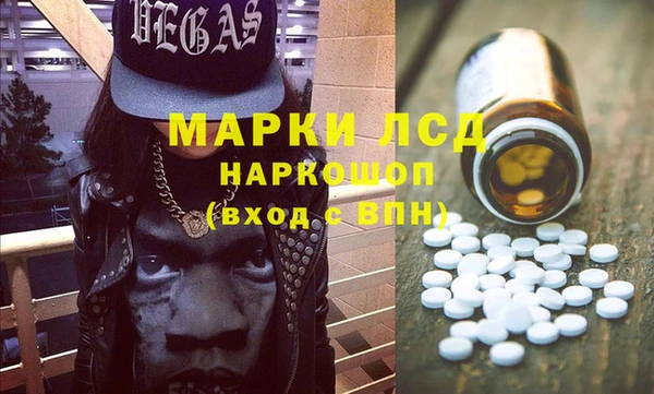 стаф Нея