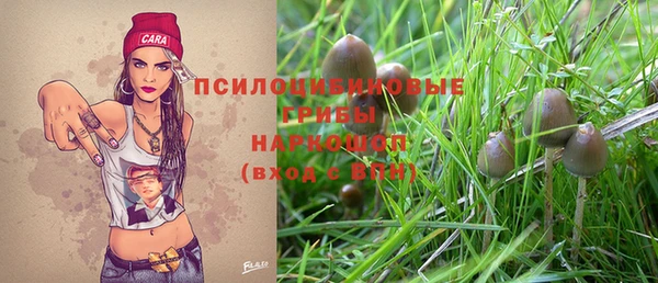 стаф Нея