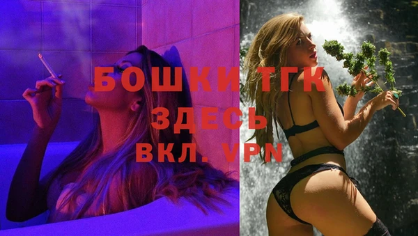 стаф Нея