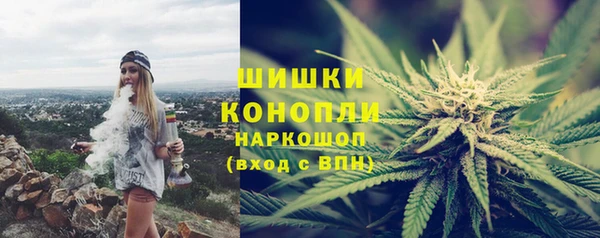 стаф Нея