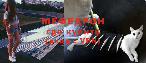 стаф Нея