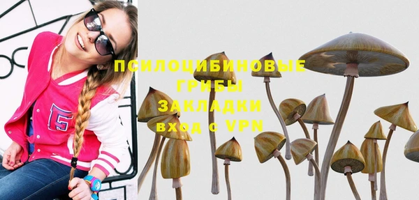 мет Нефтегорск