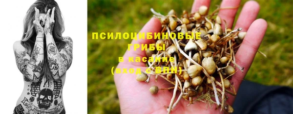 мет Нефтегорск